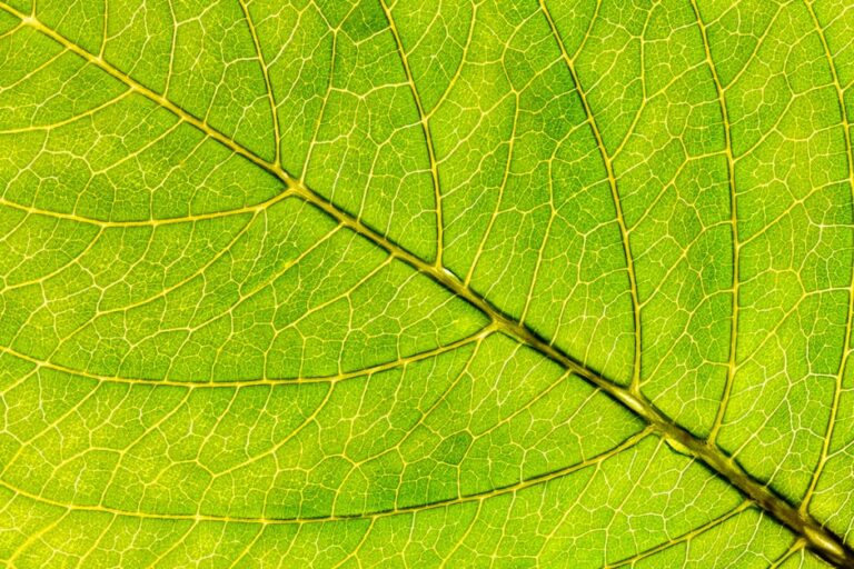 Wie Viel Liter Braucht Eine Waschmaschine